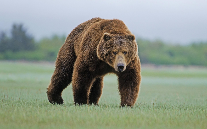 评论区！股票600851“后来居上”
