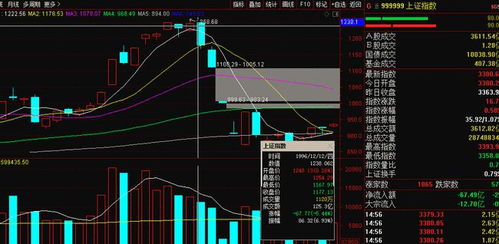 股票到底是个什么东西“口碑载道”
