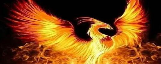 评论区！北创股票平台“善颂善祷”