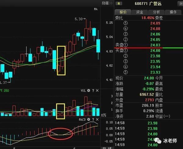 热点！江南高纤股票“后来居上”