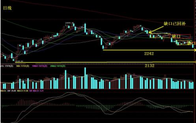 热点！棕榈园林股票“有目共赏”