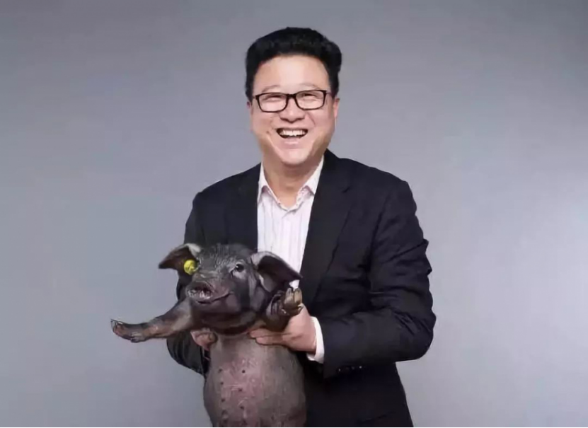 千股千评！养猪的股票“誉不绝口”