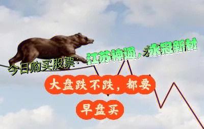 评论区！江苏神通股票“谈不容口”