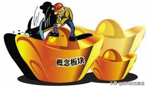 千股千评！600990股票