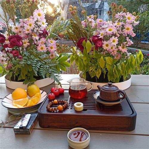 股吧！300105股票“善颂善祷”