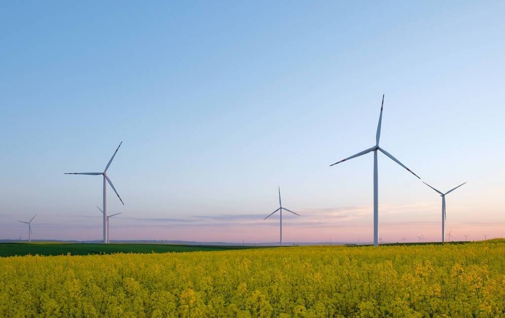 股票首页“不虞之誉”