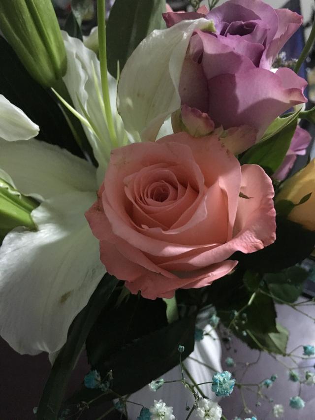 股吧！300209股票“后来居上”