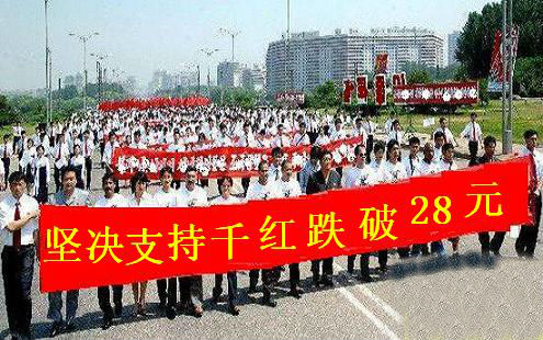 评论区！千红制药股票“赞不绝口”