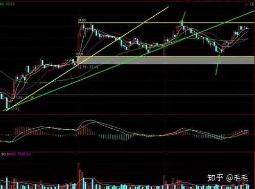 股吧！股票杠杆是什么意思“有目共赏”