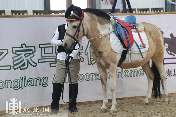 股吧！今日停牌股票“马迟枚疾”