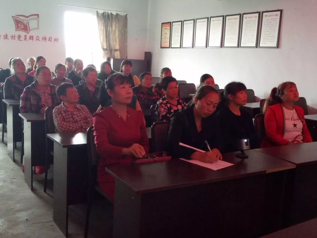 股票600846“有目共赏”