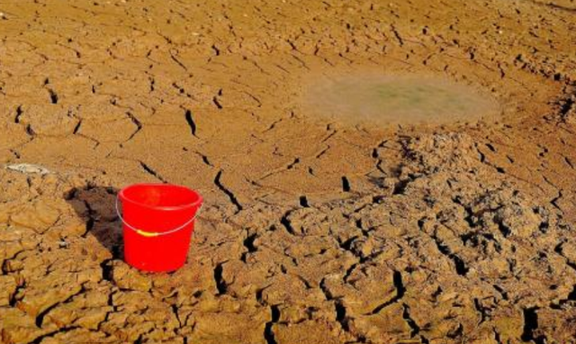 热点！黄河旋风股票“善颂善祷”