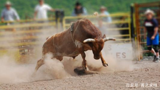 利好消息！300030股票行情“善颂善祷”