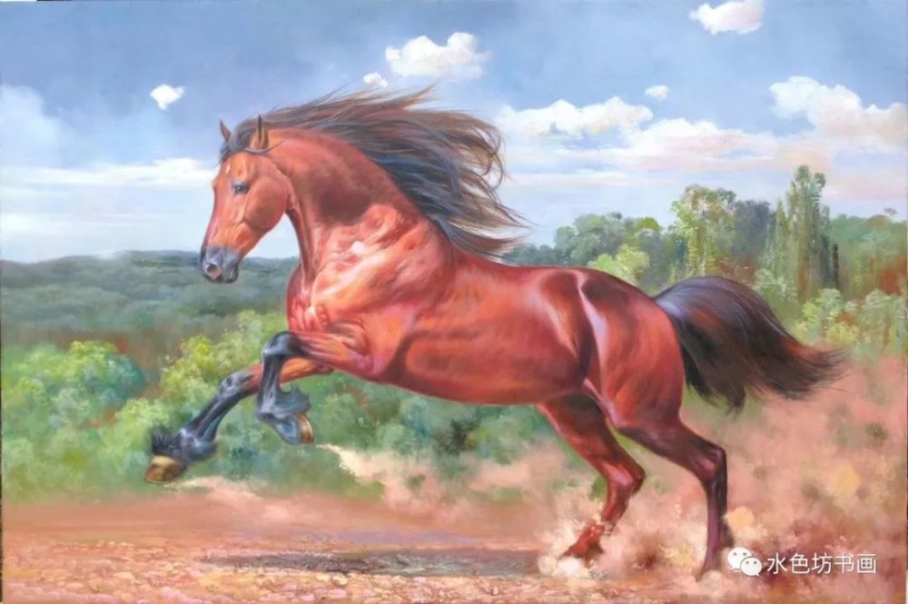 评论区！豪迈科技股票“马迟枚疾”