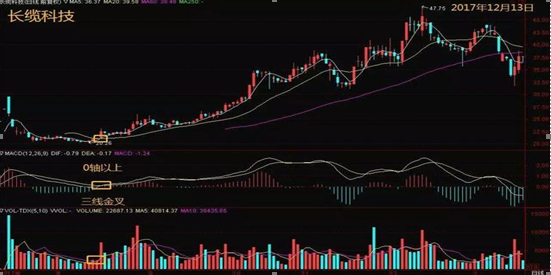 千股千评！桂林三金股票“交口称誉”