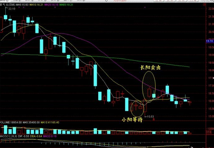 新消息！股票内参“颂声载道”
