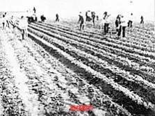 评论区！北大荒股票“有目共赏”