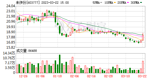 评论区！东方市场股票“谈不容口”