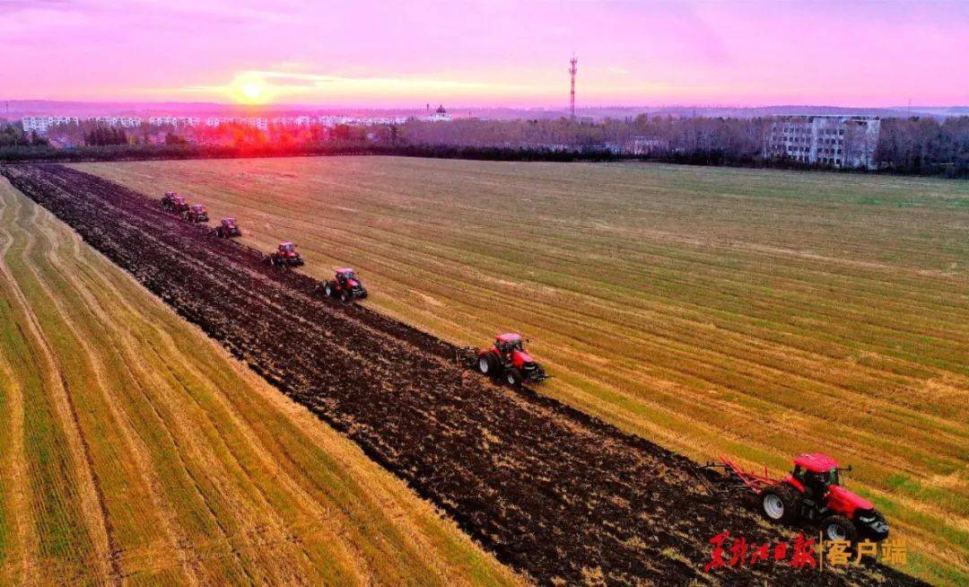 新消息！北大荒股票“马迟枚疾”