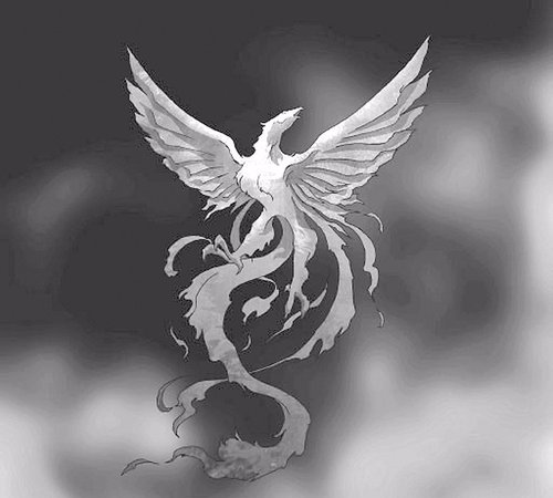 评论区！600674股票“善颂善祷”