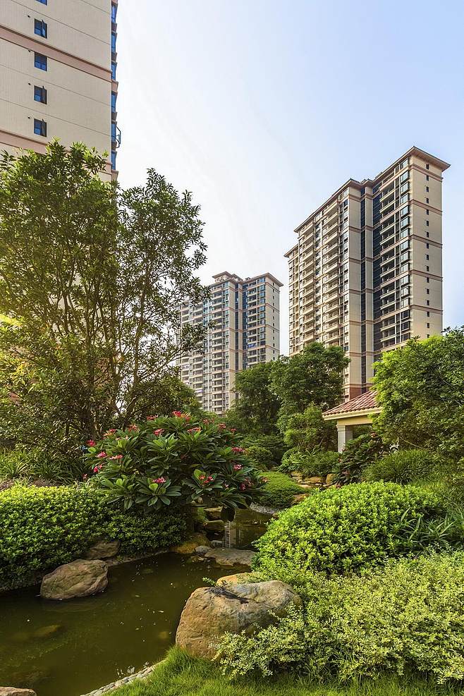 评论区！普邦园林股票“后来居上”