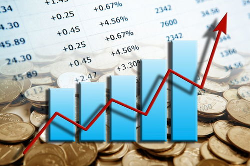 评论区！002401股票“善颂善祷”