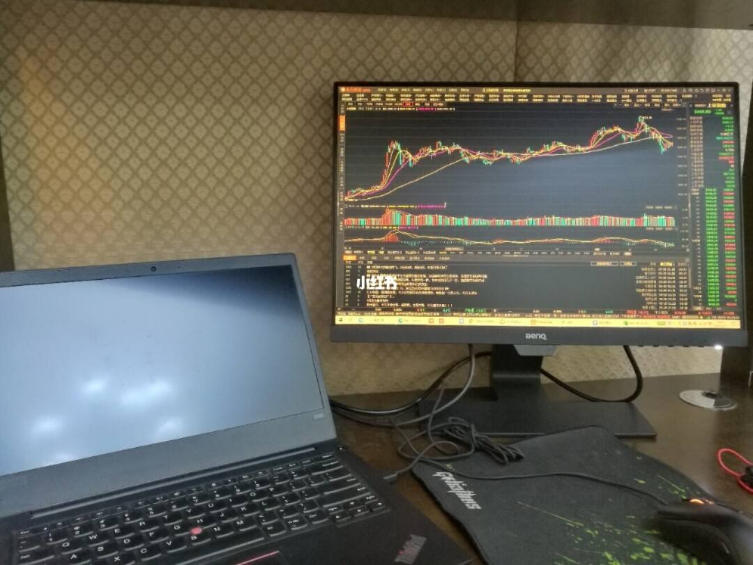 评论区！现代投资股票“颂声载道”