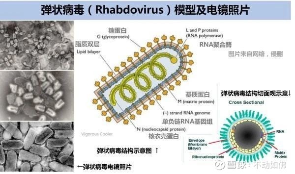 600326股票“有目共赏”