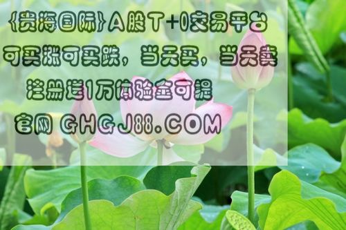 今日行情！股票几点收盘“交口称誉”