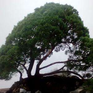 投股票“交口称誉”