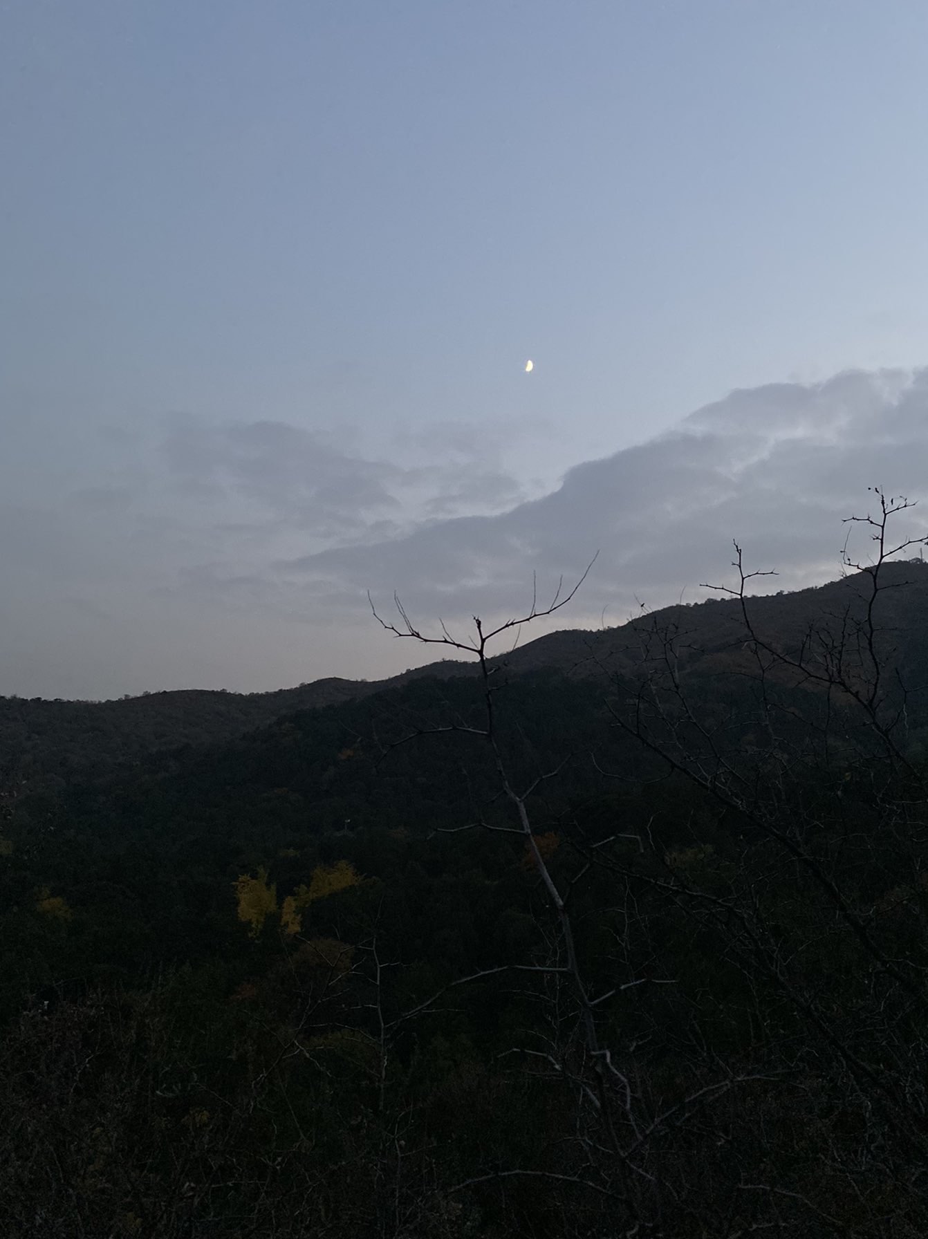 股吧！600135股票“颂声载道”