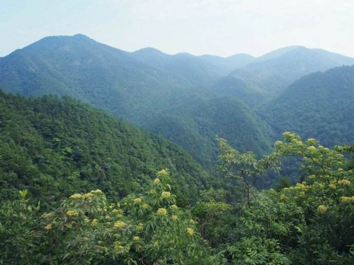 千股千评！股票分析报告“善颂善祷”