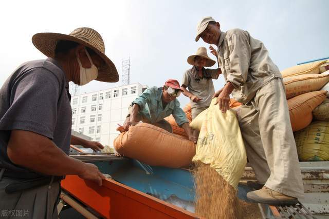 今日行情！小麦财经股票配资“誉不绝口”