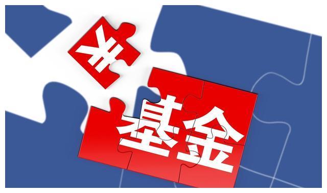 利好消息！慈星股份股票“后来居上”