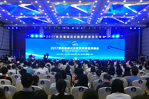 热点！王国强股票博客“交口称誉”