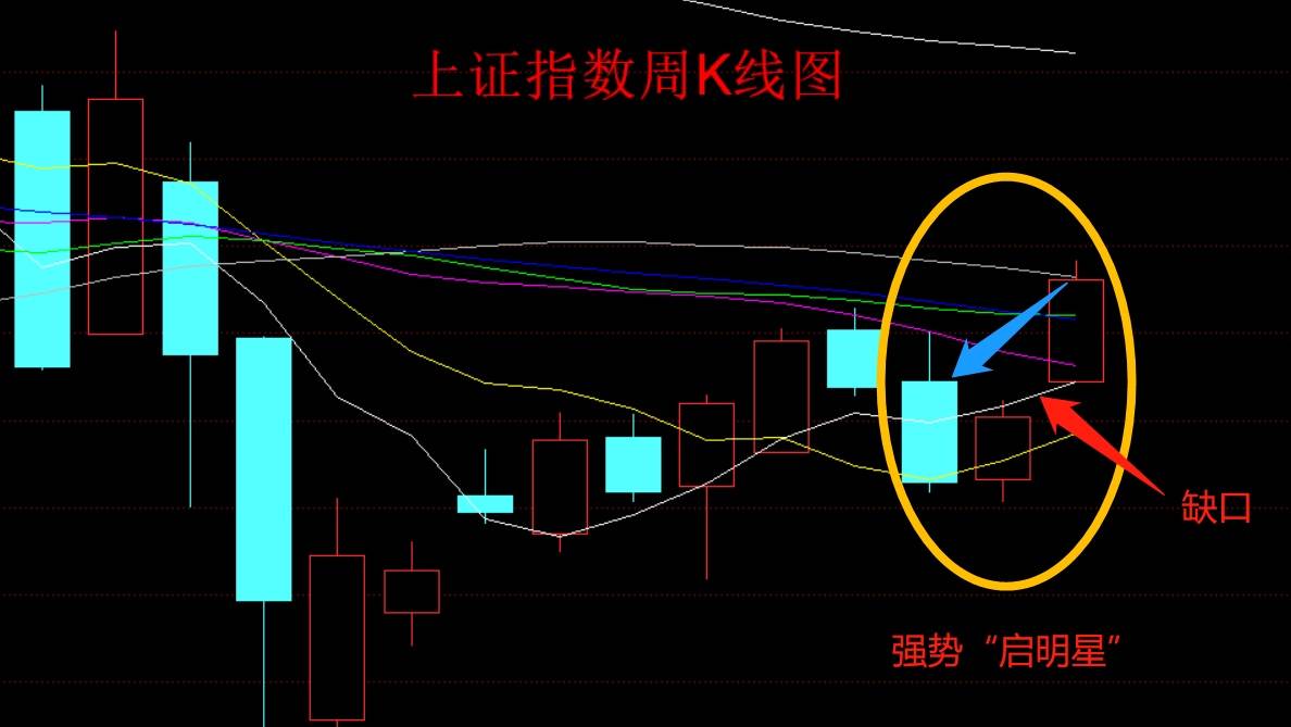 千股千评！600208股票“有目共赏”