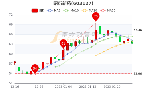 热点！浔兴股份股票“谈不容口”