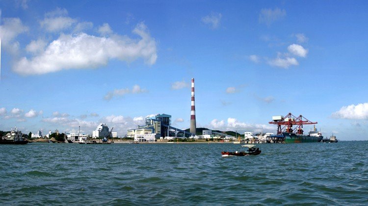 千股千评！厦门港务股票“口碑载道”