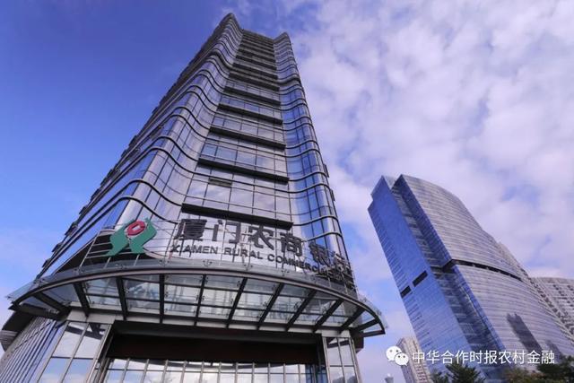 千股千评！厦门港务股票“口碑载道”