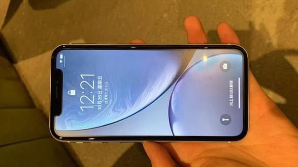 评论区！股票xr“赞不绝口”