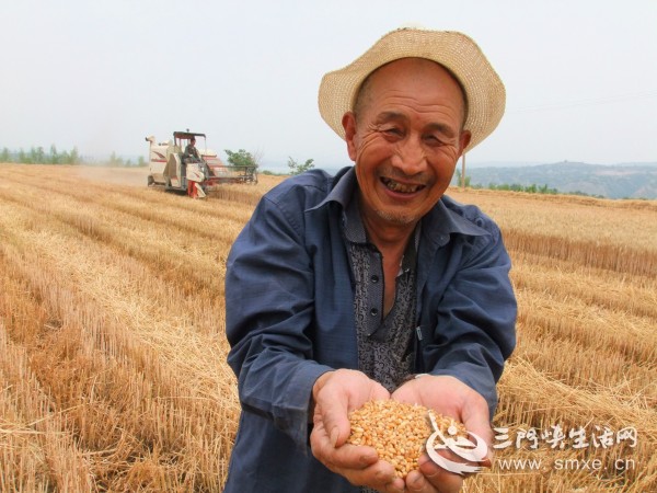 热点！小麦财经股票网“颂声载道”