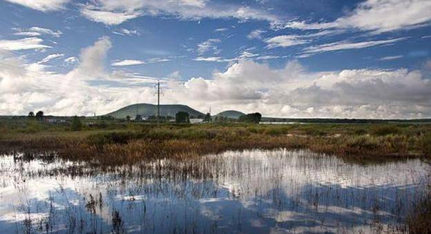 评论区！北大荒股票“马迟枚疾”