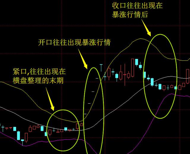 千股千评！大连友谊股票“马迟枚疾”
