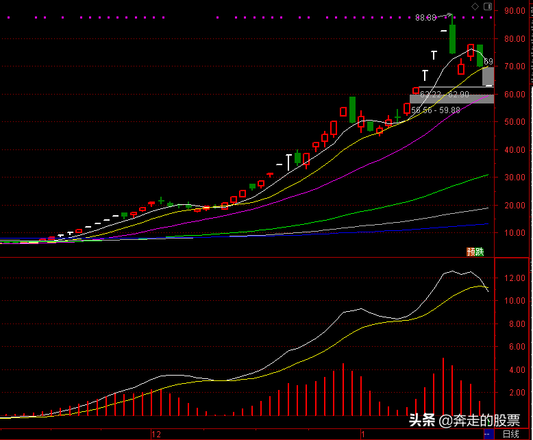 评论区！天利高新股票“赞不绝口”