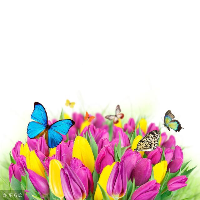 股票佣金一般多少“马迟枚疾”