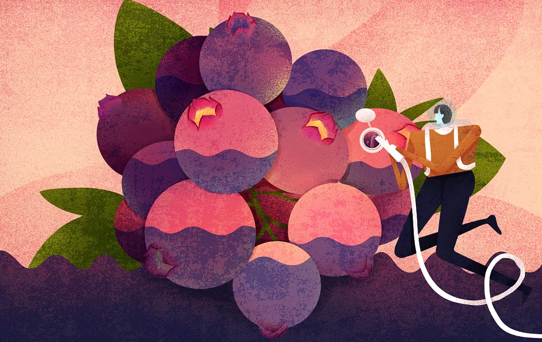 千股千评！次新股票一览表“交口称誉”