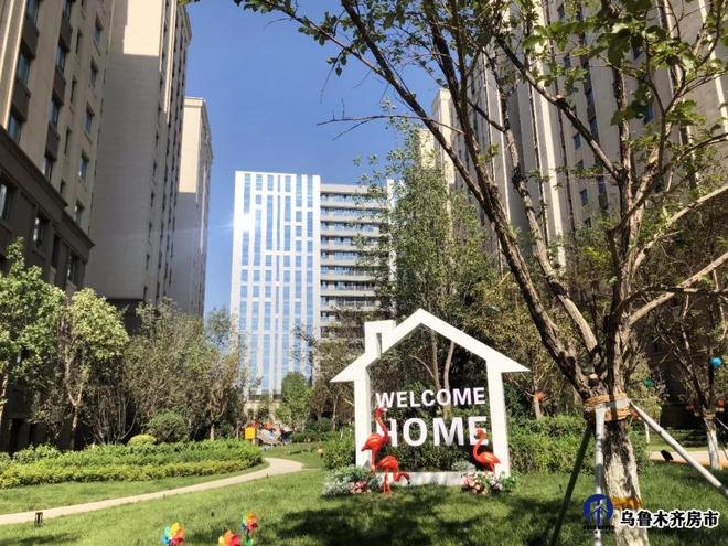 评论区！中海地产股票“誉不绝口”