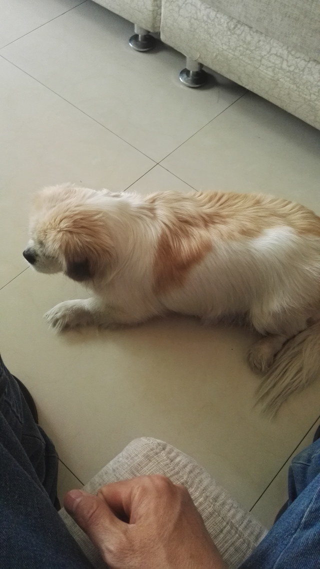 股吧！股票002510“善颂善祷”