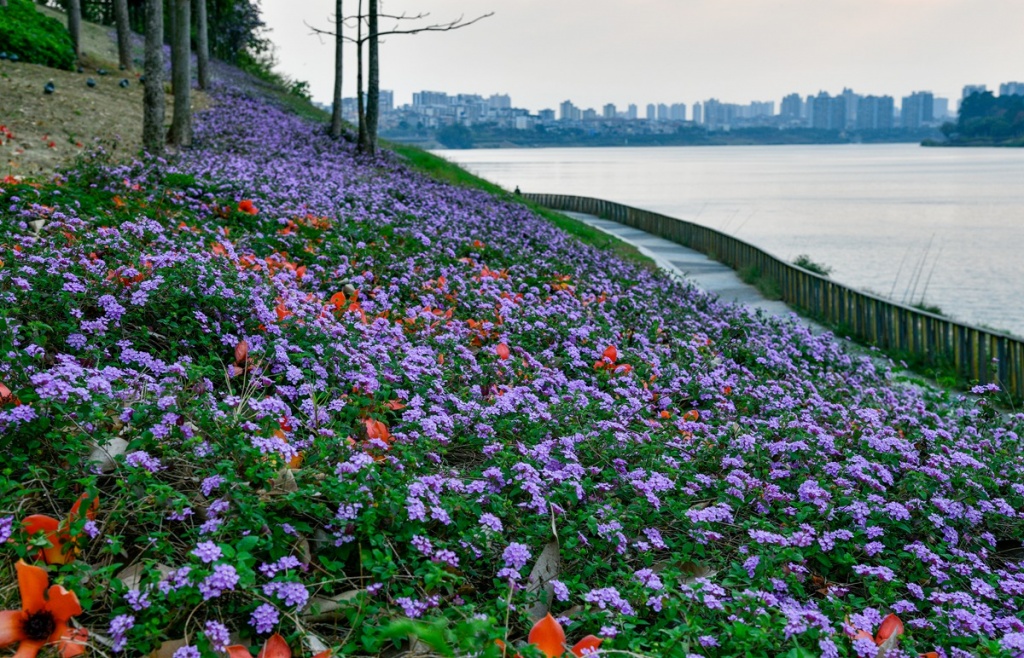 今日行情！众和股份股票“谈不容口”