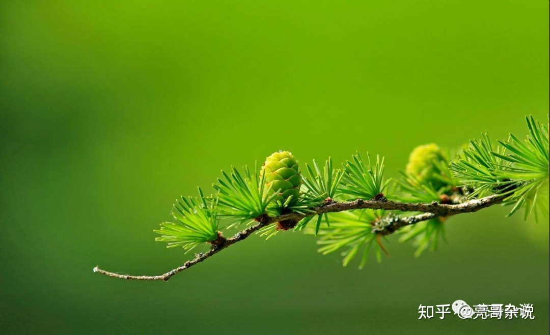 热点！如何购买股票“善颂善祷”